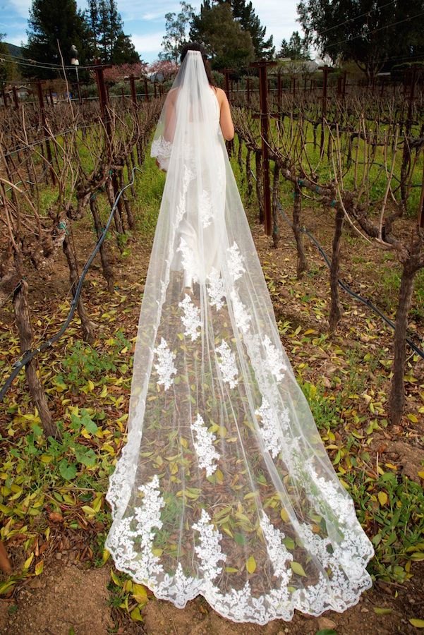 Winter Wedding in Napa Valley