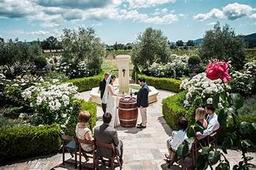 The Best Wedding Destinations in California — and Why Napa Valley Reigns Supreme