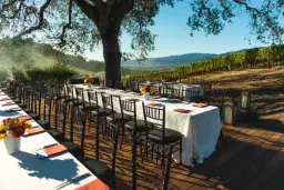 Excellent Romantic Venues for Intimate Wine Country Celebrations
