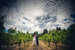 Clouds are a Great Photo Asset in Napa Valley
