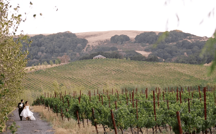 Ken Viale Photography