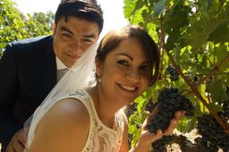Touch the Grapes